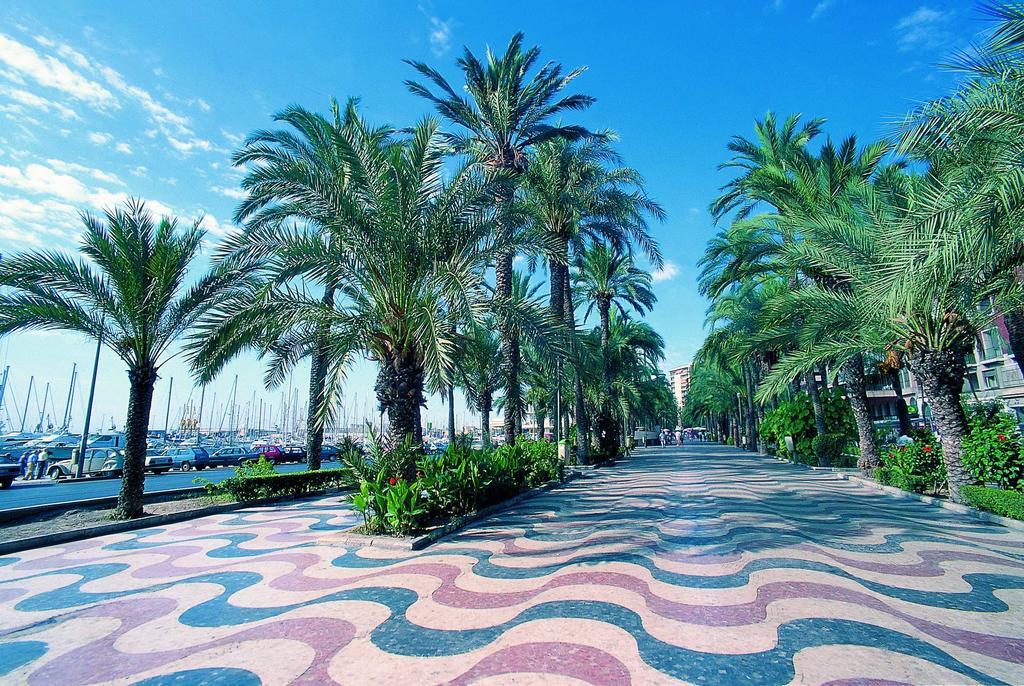 Beach & Urban Attic Alicante Oda fotoğraf